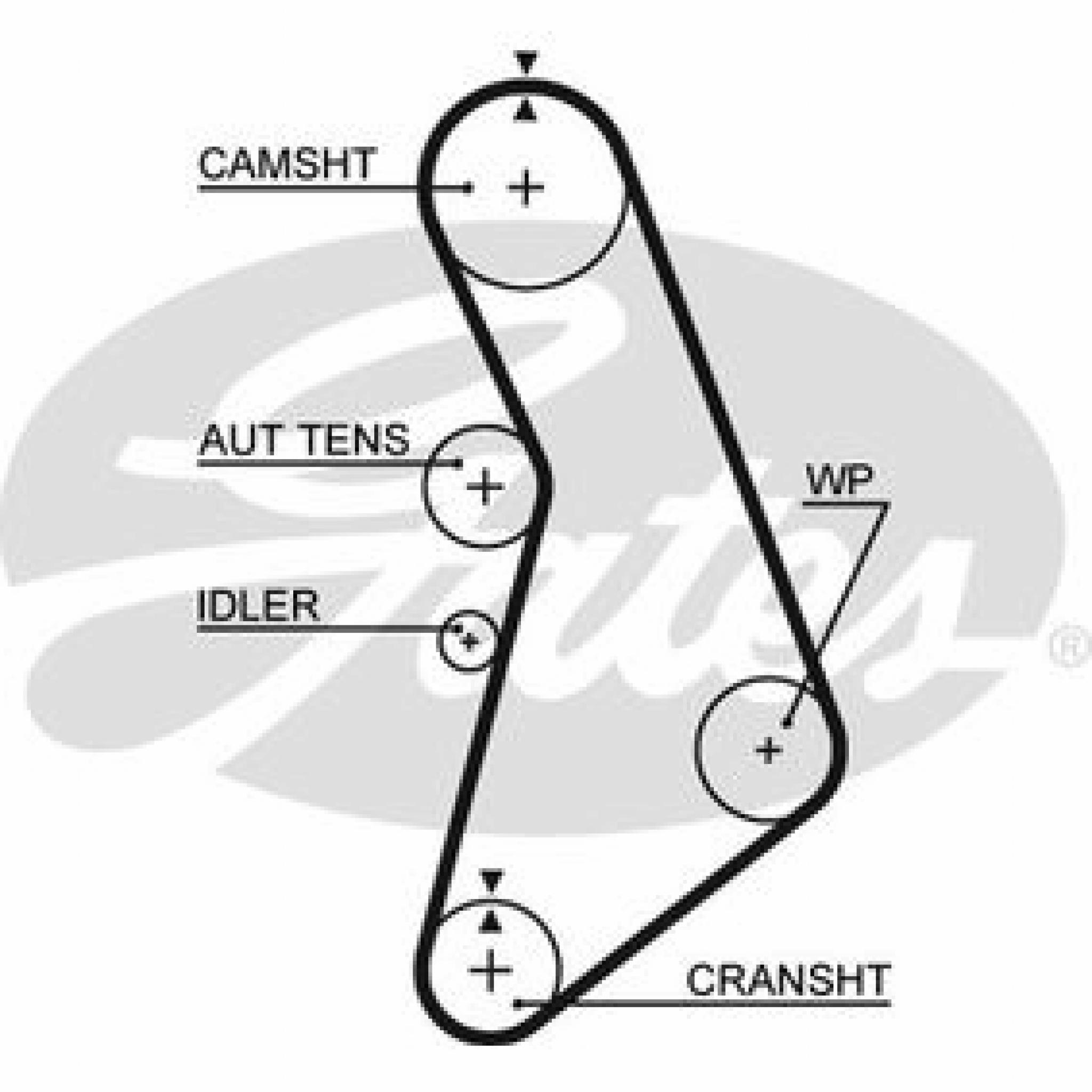 Cambelt Kit, inc Tensioner Damper